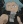 Black☆Star