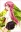  Hiroka