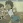 Daichi