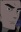 Kitane