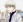  Tarou