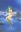 Lum