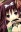 Madoka