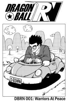 Dragon Ball dj - RN