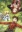 Tales of Symphonia