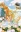 Honey and Clover