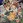 Shaman King