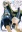 Taboo-Tattoo