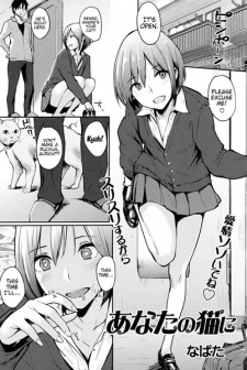 Anata no Neko ni
