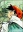 Ashita no Joe