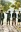 Bump of Chicken