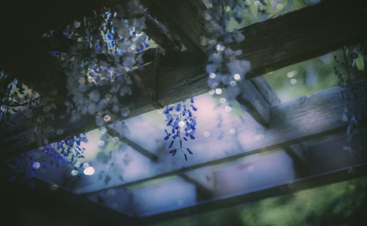 Hey I'm Toasterheater and it's nice to meet you!