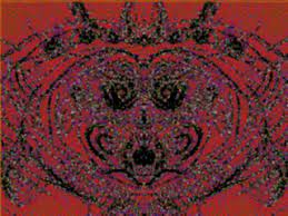 Ṯ̶̛̎H̴̬̿Ē̸̲ ̸͚̖̔̕H̸̙̩̍Ĕ̵͈̄Ã̶͚̗D̷̖͋͌ ̷̳̤̕B̵̡͋͛I̵̗͛͒T̷̢̛E̴̗͚͝Ş̶̋ ̷̡͈̀T̸̲̔Ḧ̷̭́͜͝É̵̻ ̶͎͉́T̵͉͌͐ͅA̶͈̒͌I̴̼̟͐L̸̗̩̈́,̸̯̿ ̶̞͉̇Î̸̮̠N̴̤̼͋ ̵̧͌D̵̳̱̋E̶͖͎̊̌A̶͔̿̏T̷͉̞̆H̶̼̍͜ ̷̤̭͑͘Ṭ̴̄H̶̨̬̒͌E̴̿̌͜Y̶̼̾̌ ̷̝̥̈̑Á̷̦́R̸̭̜̒̽Ë̴͖̣́̋ ̵̖͆͌B̵̧̳͗̿O̴̼͝R̵͓̃̈ͅN̸̘̦̓