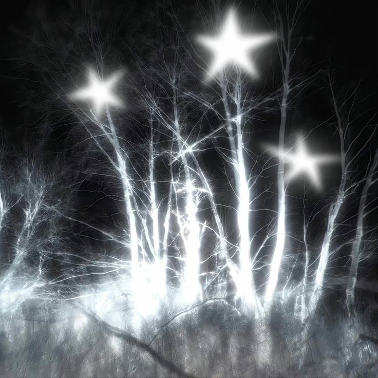 ☾ 𝐒𝐚𝐛𝐨𝐭𝐚𝐠𝐞 ☽