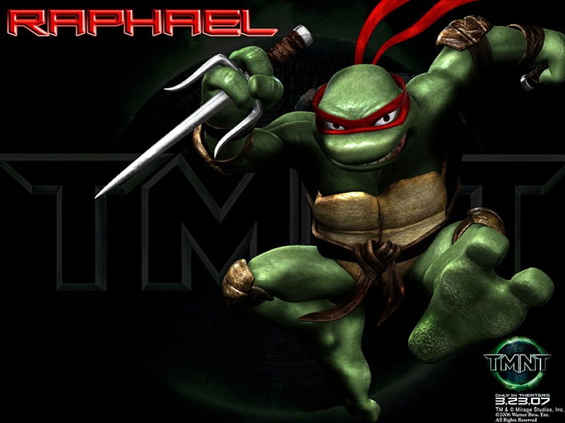 🐢🥷🏿
