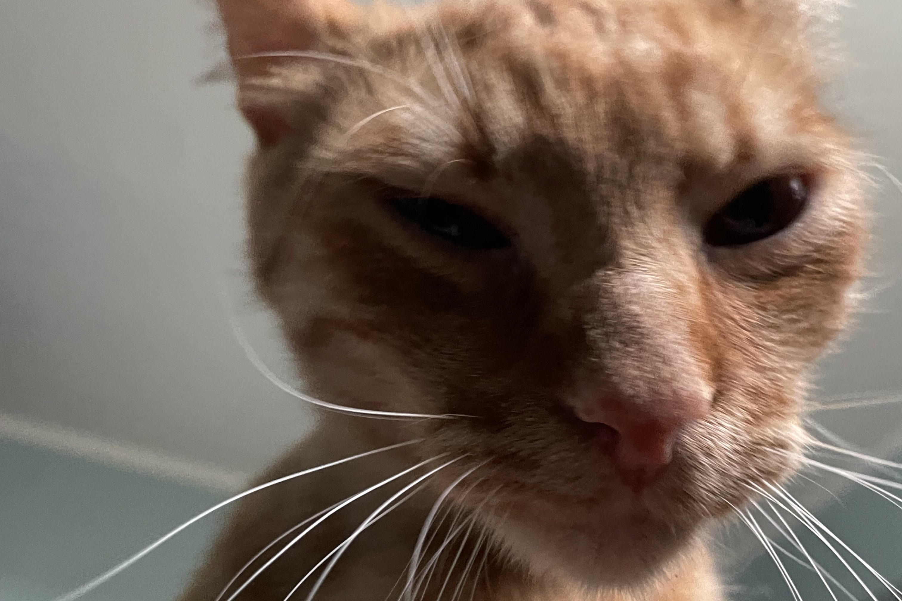 Insert partner logo here