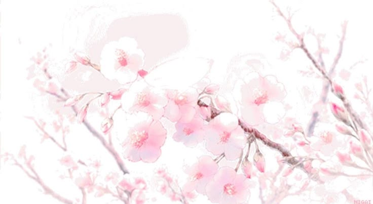 ♯┆idil  .ᐟ ★