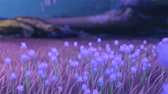 Good Vibes, Good Life