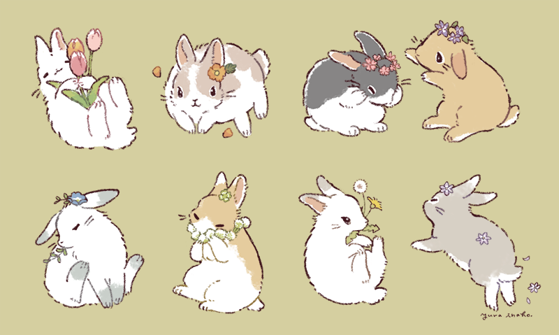 I'm rabbit lover