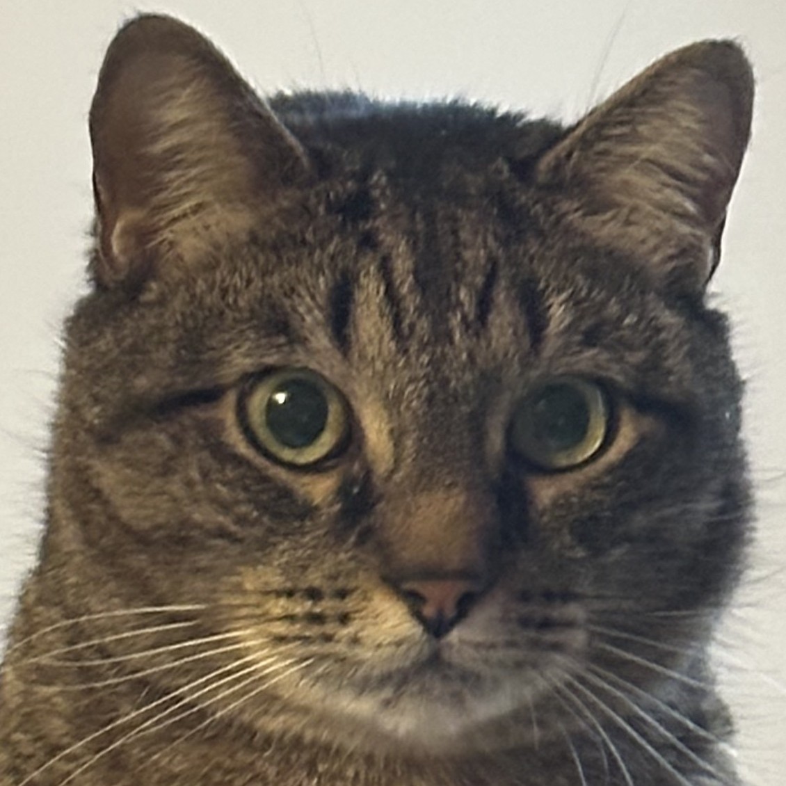 Hi. I have not touched this account in over 10 years.