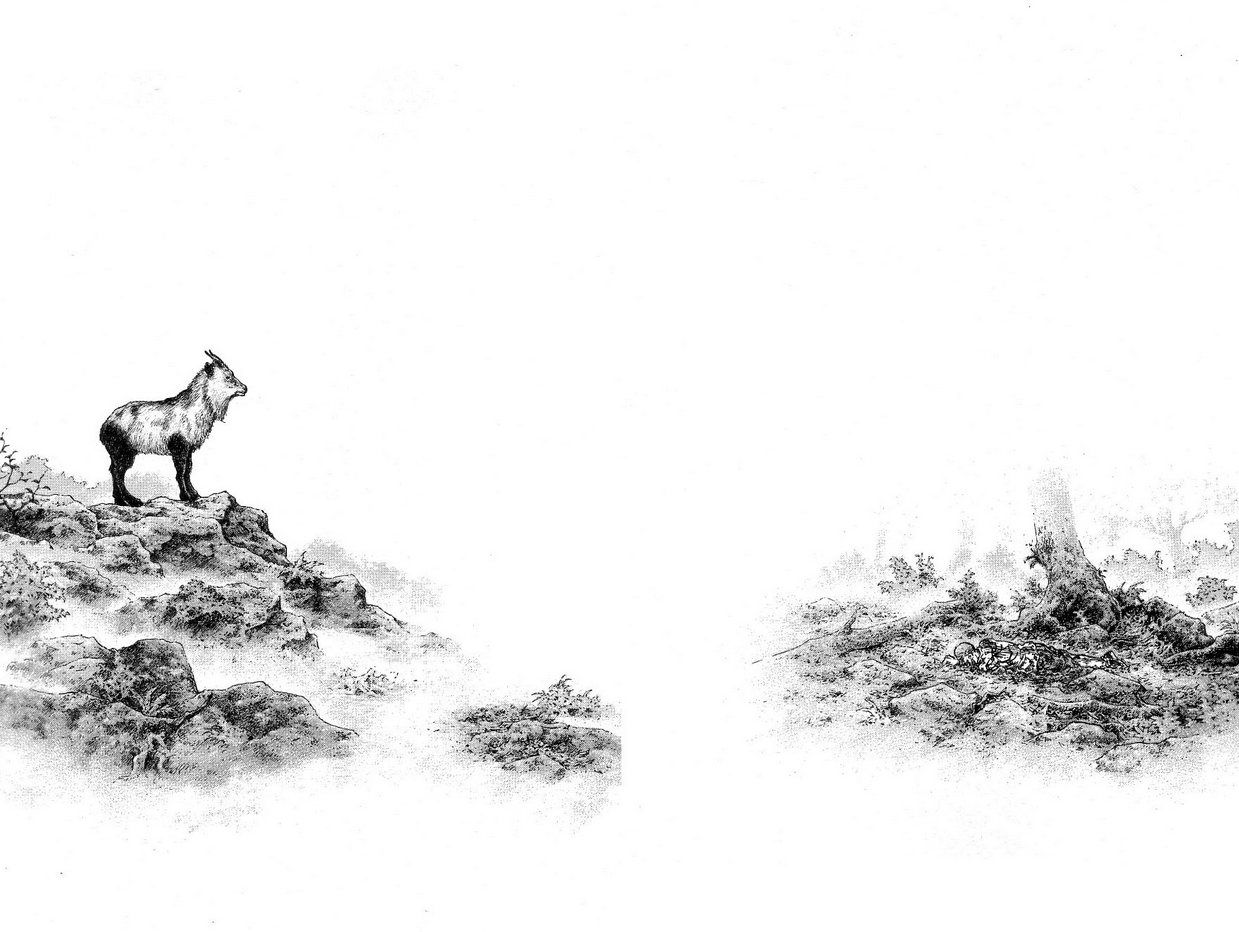 Hello, my name is Snow