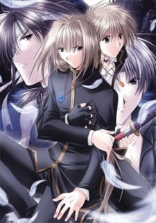 Capa de Angel's Feather