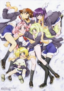 Girls Bravo: First Season Anime Cover