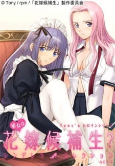 Capa de Tony's Heroine Series: Kanojo wa Hanayome Kouhosei? Cinderella Collection