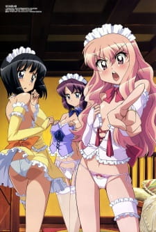 Imagen de Zero no Tsukaima
