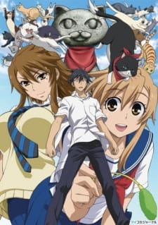 Fall 2009 - Anime 