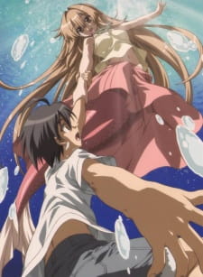 Imagen de Seto no Hanayome