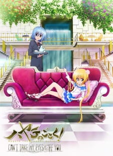 Capa de Hayate no Gotoku! Can't Take My Eyes Off You