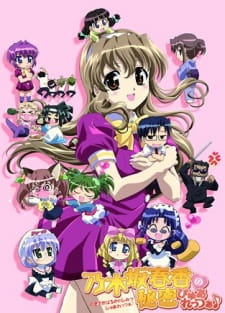 Capa de Nogizaka Haruka no Himitsu Purezza ♪