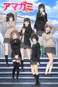 Capa de Amagami SS