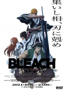 Imagen de Bleach: Sennen Kessen-hen - Soukoku-tan