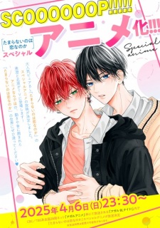 Capa de Tamaranai no wa Koi nano ka