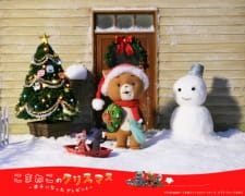 Imagen de Komaneko no Christmas: Maigo ni Natta Present