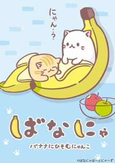 Capa de Bananya