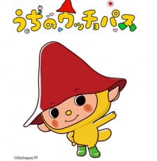 Capa de Uchi no Oochopus
