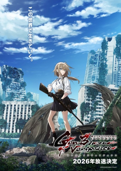 Magical Girl Lyrical Nanoha EXCEEDS Gun Blaze Vengeance image 2