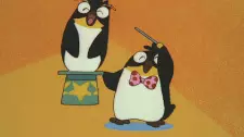 Penguin Paradise