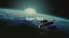 Sugar Foot
