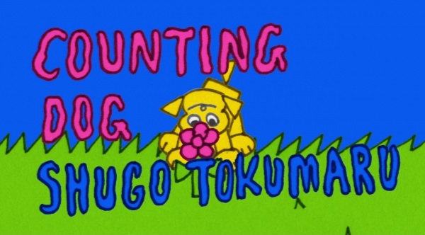Counting Dog