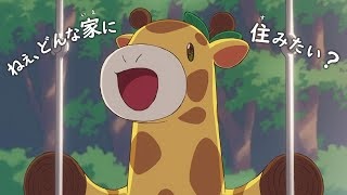 Aqura Home CM
