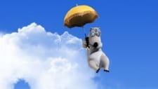 Capa de I Love Sky