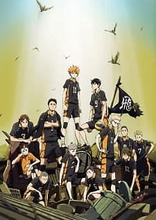 Haikyuu!! (OVA) 