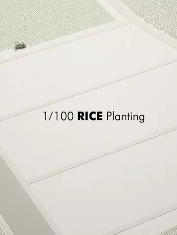 1/100 RICE Planting