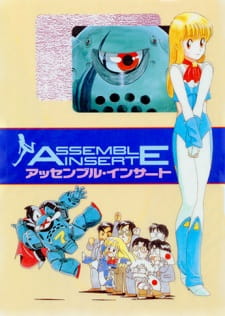Imagen de Assemble Insert