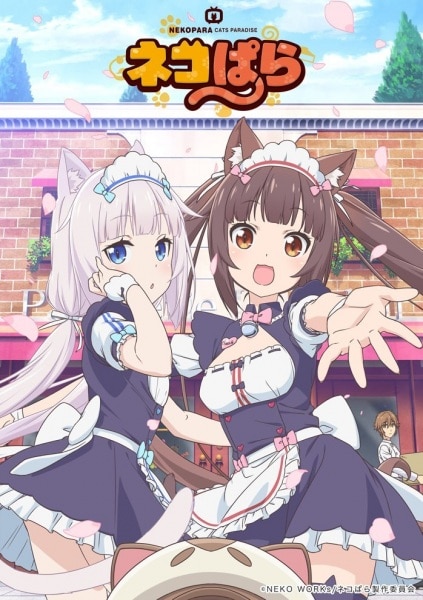 Winter 2020 First Impressions – Number24, Plunderer, and Nekopara