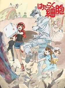 Hataraku Saibou Tv Cells At Work Reviews Myanimelist Net